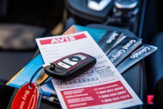 Avis Car Rental